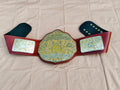 WWE World Heavyweight Wrestling Champion Ric Flair Replica Title Belt
