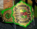 TNA International Champion Replica Title Belt