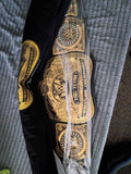 WWE Tag Team Wrestling Champion Replica Title Belt