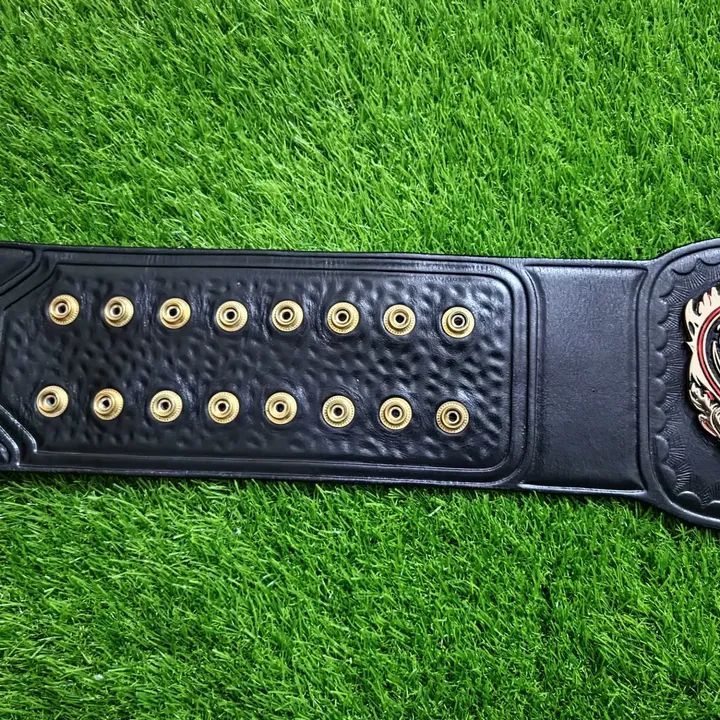 WWE Loverweight Champion Replica Title Belt