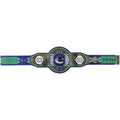 Quinn Hughes Vancouver Canucks Autographed Fanatics Authentic WWE Legacy Title Belt with "2024 Norris