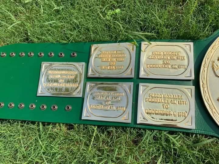 WWF World Heavyweight Champion Title Belt