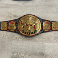 WWE The Rock Replica Title Championship Belt