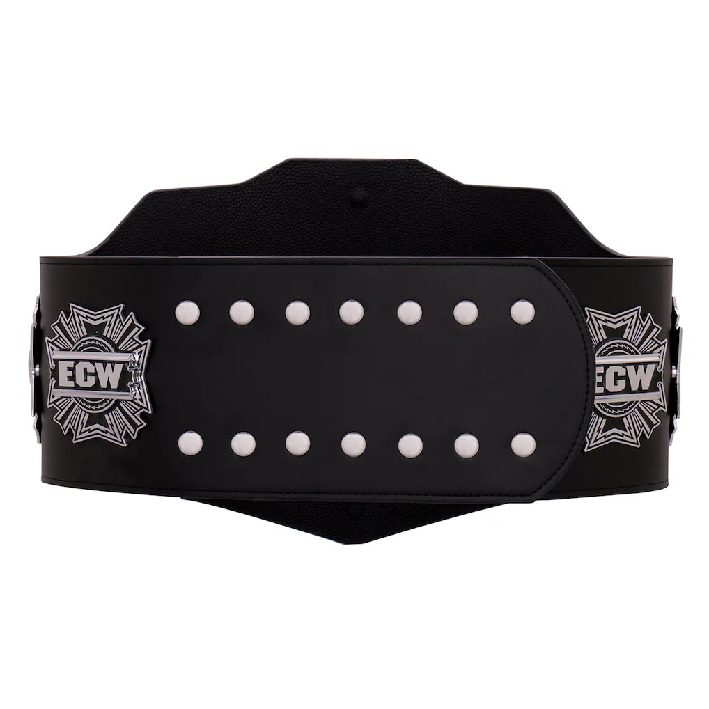 WWE ECW Championship 2008 Replica Title Belt