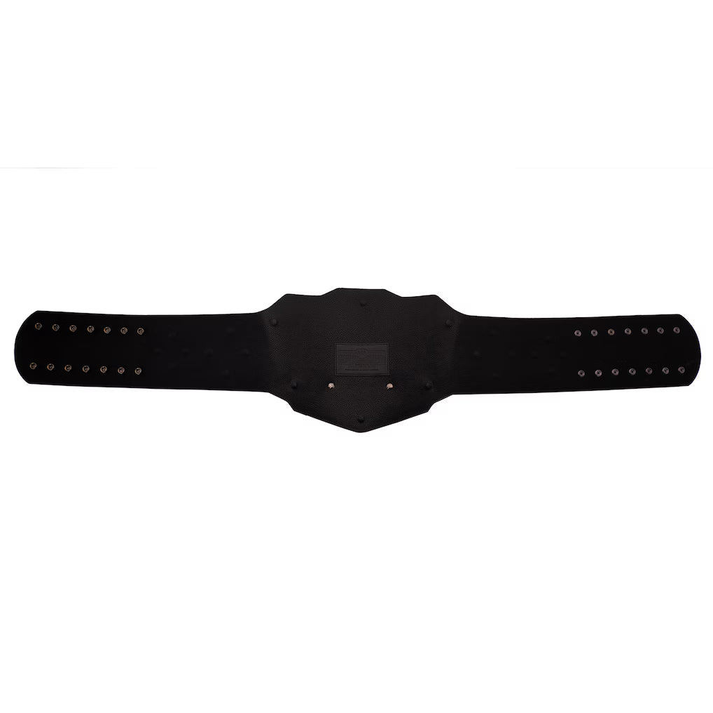 WWE ECW Championship 2008 Replica Title Belt