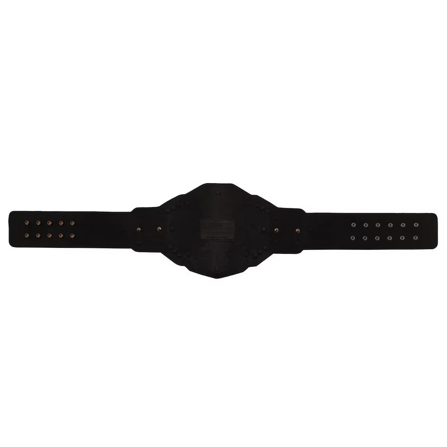 WWE NXT Championship 2024 Replica Title Belt