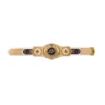 boilermakers legacy title belt.webp