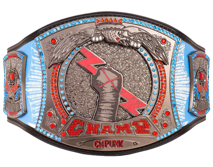 CMPunk434-DayRecordSignatureChampionshipTitleBelt cm punk belt