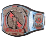 CMPunk434-DayRecordSignatureChampionshipTitleBelt