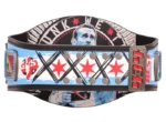 CMPunk434-DayRecordSignatureChampionshipTitleBelt