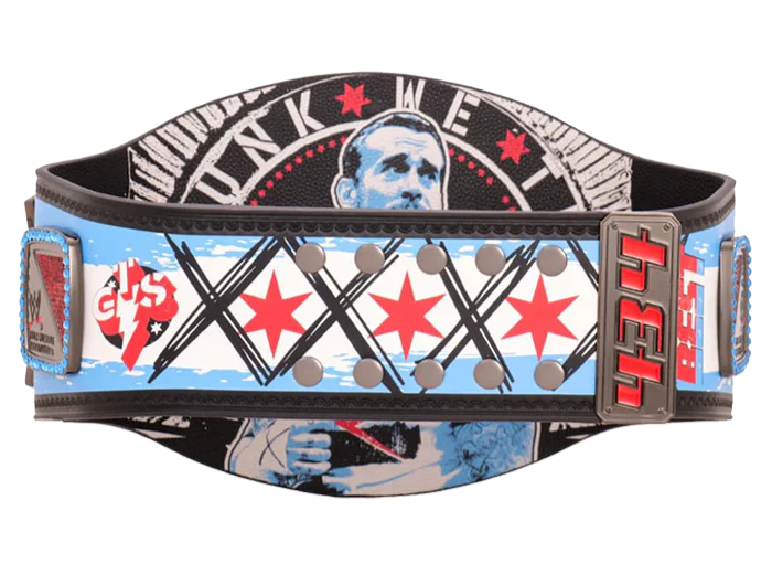 CMPunk434-DayRecordSignatureChampionshipTitleBelt_3_c6cad276-5a78-4196-b944-cec42765e9df