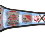 CMPunk434-DayRecordSignatureChampionshipTitleBelt