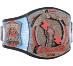 CMPunk434-DayRecordSignatureChampionshipTitleBelt