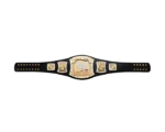 Spinner_World_Title_Belt