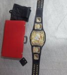 Spinner_World_Title_Belt