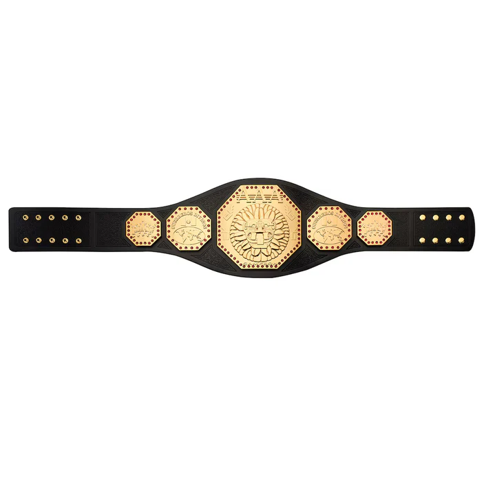 aaa-mega-champion-replica-title-belt_ss5_p-203727711_pv-5_u-zys0wuvbb3ork3nohpqg_v-brb0pkxq6wwqrf6qj6cj