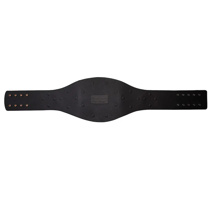 aaa-mega-champion-replica-title-belt_ss5_p-203727711_pv-6_u-zys0wuvbb3ork3nohpqg_v-yofvlqwiwa2umyot93vf