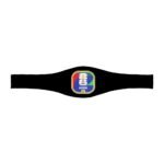 wwe-x-fifa-world-cup-2026-legacy-championship-replica-title-belt