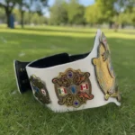 world heavyweight wrestling championship title belt